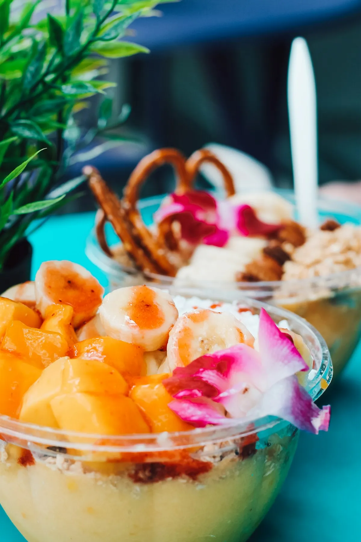Akaibowl Glebe Bayshore