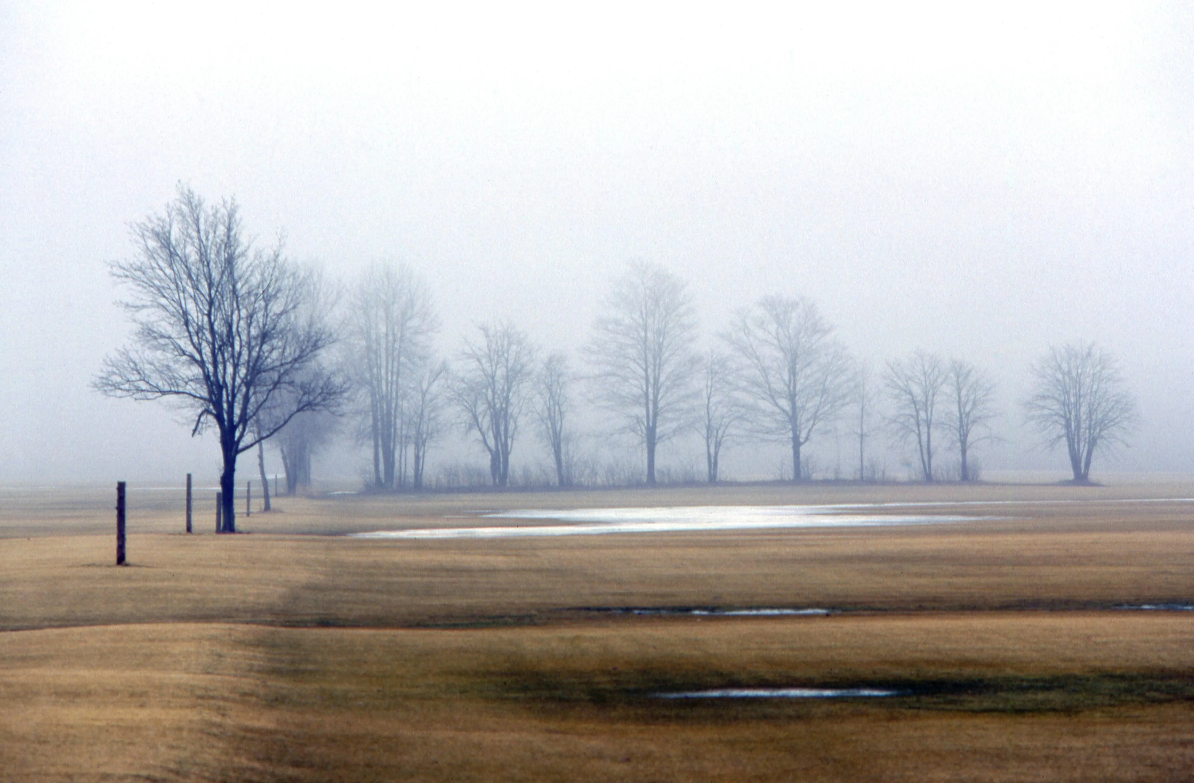 Almonte rural Lanark birding