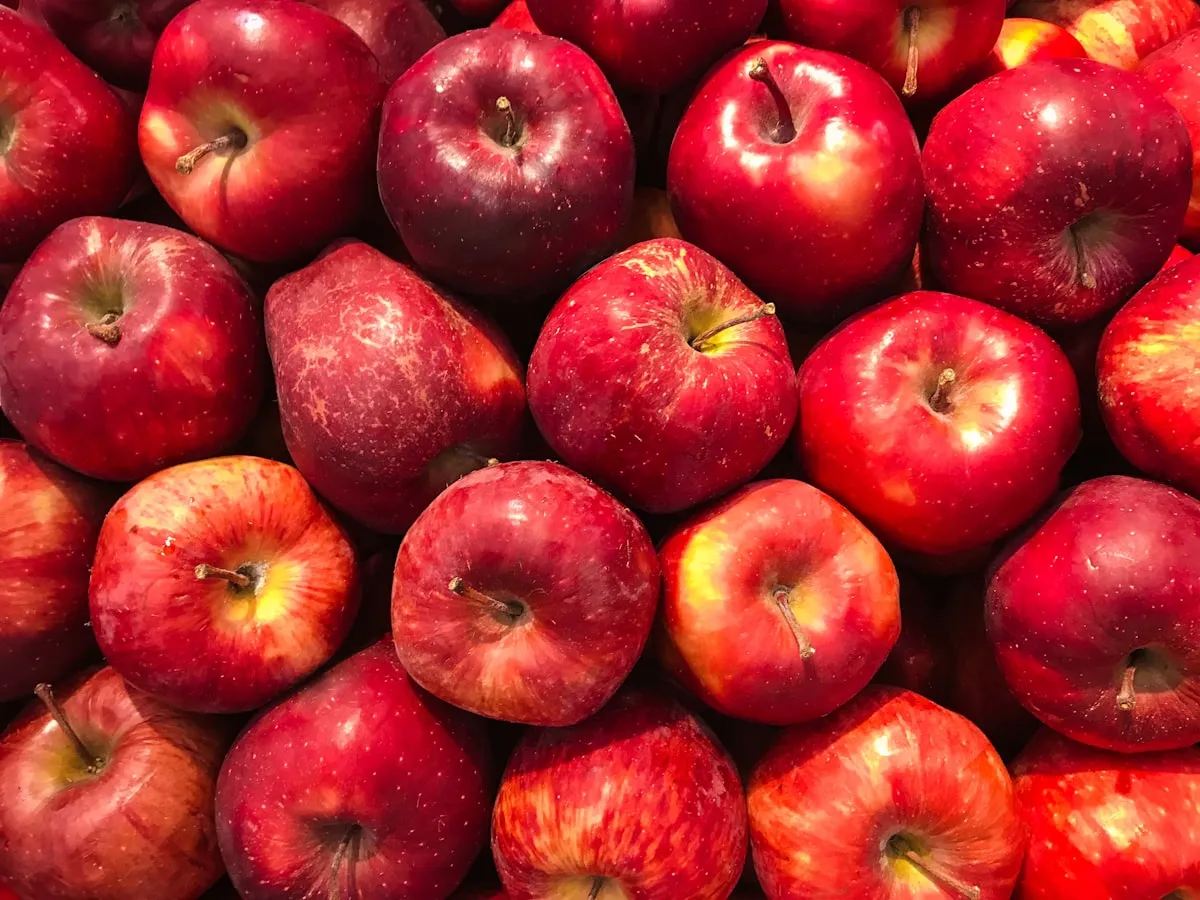 Different apple varieties available near Ottawa