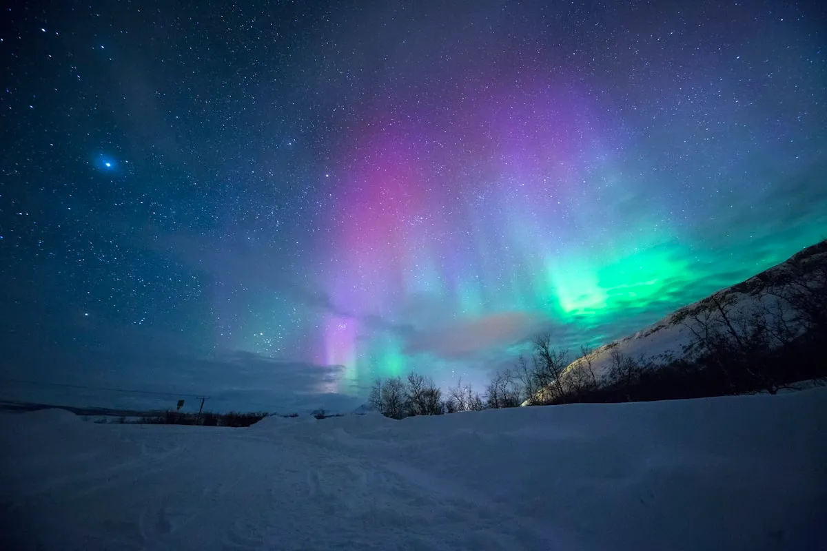 Aurora borealis over rural Ontario landscape