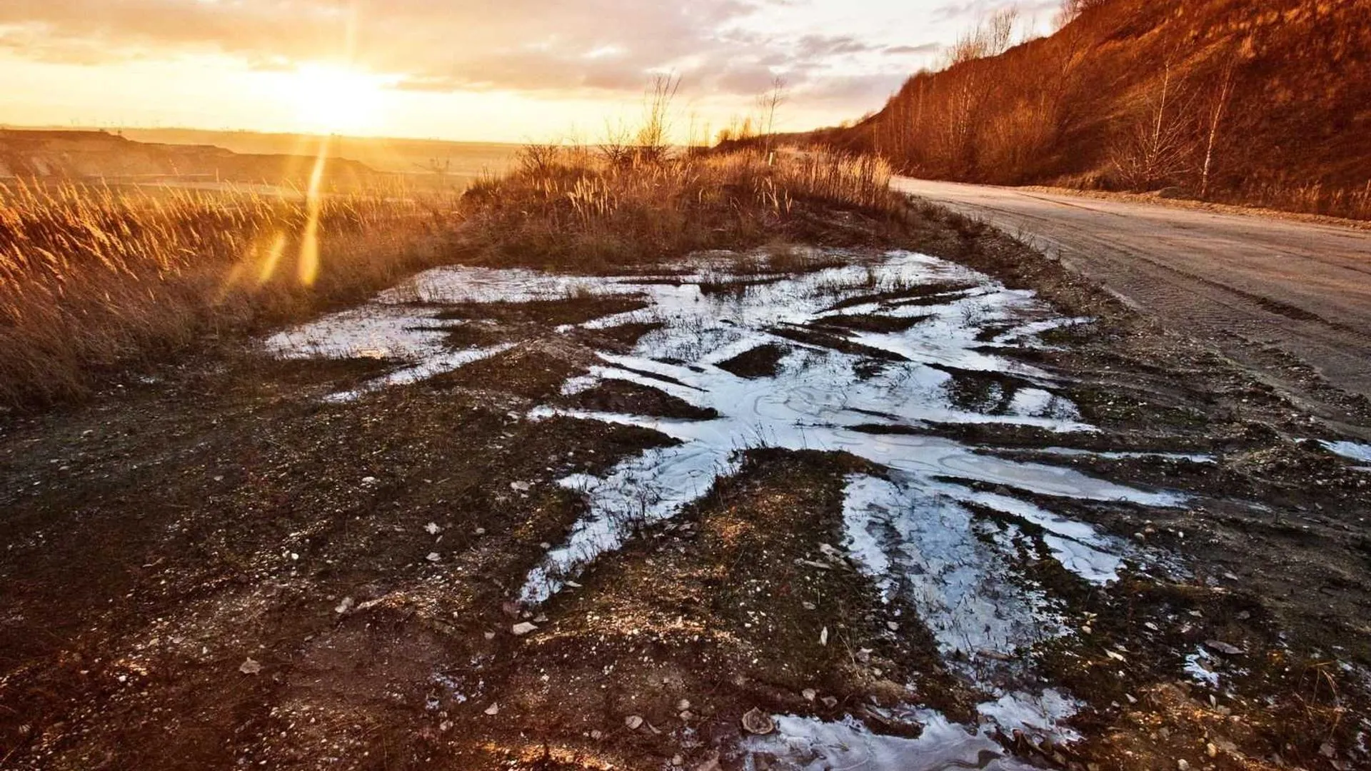 A nearly empty Ottawa street with neon diner and takeout signs after last call