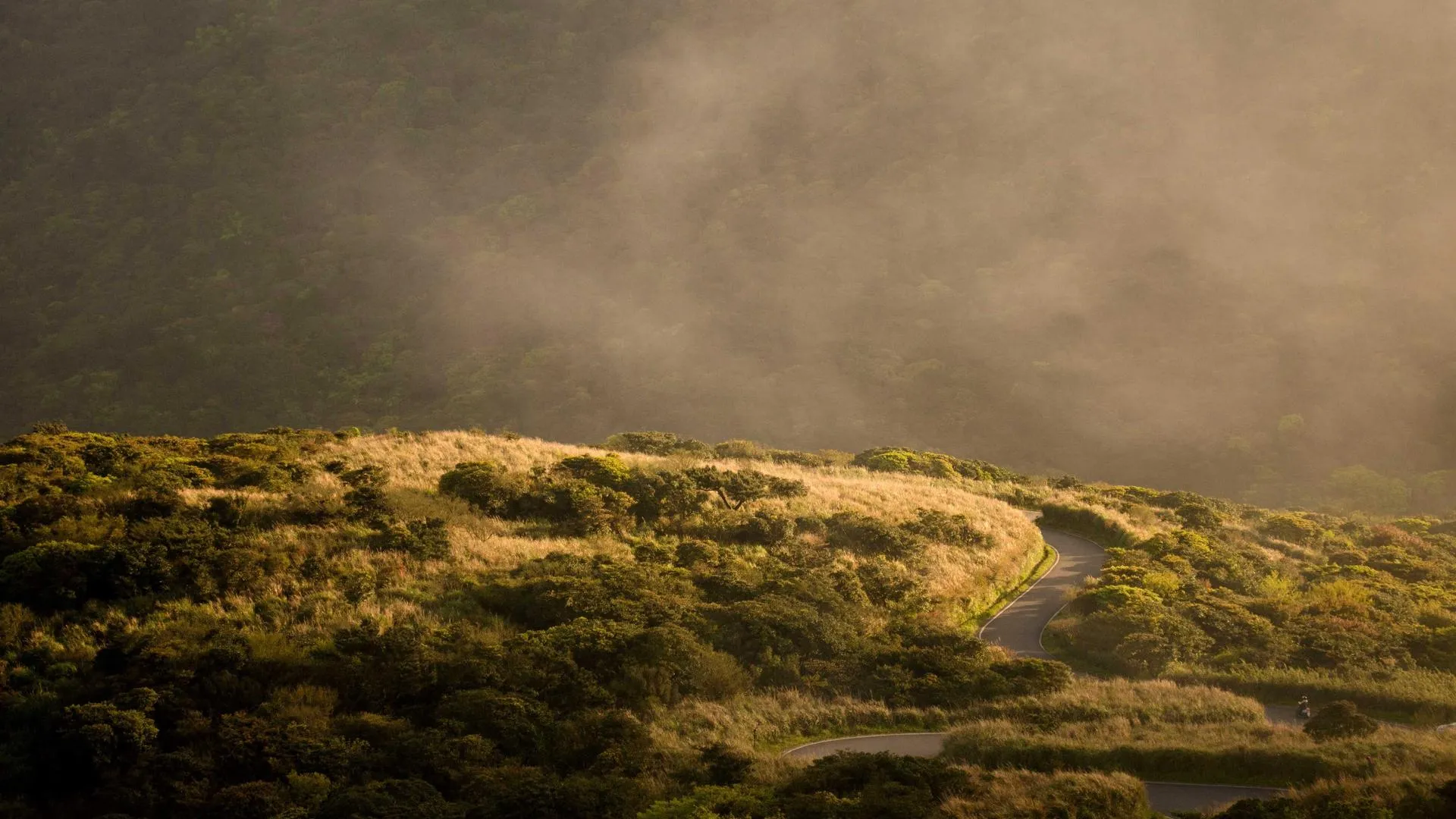 A final morning table scene with coffee, toast, and sunlight in Ottawa