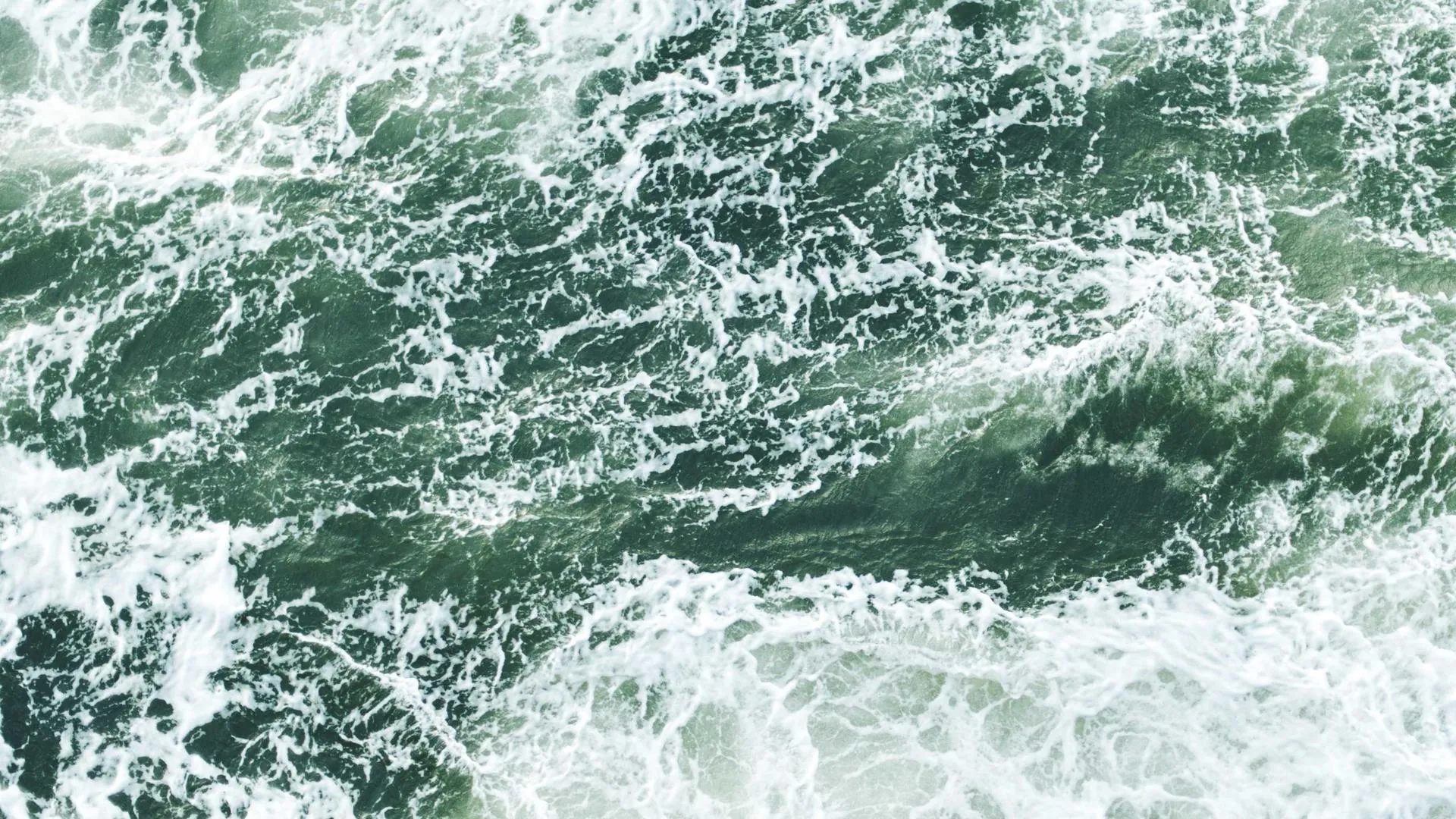 Breakfast plates, coffee, and morning light in an Ottawa restaurant