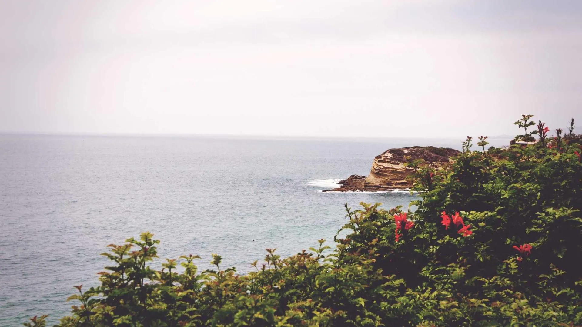 Polished hotel breakfast service with coffee, fruit, and a plated entrée