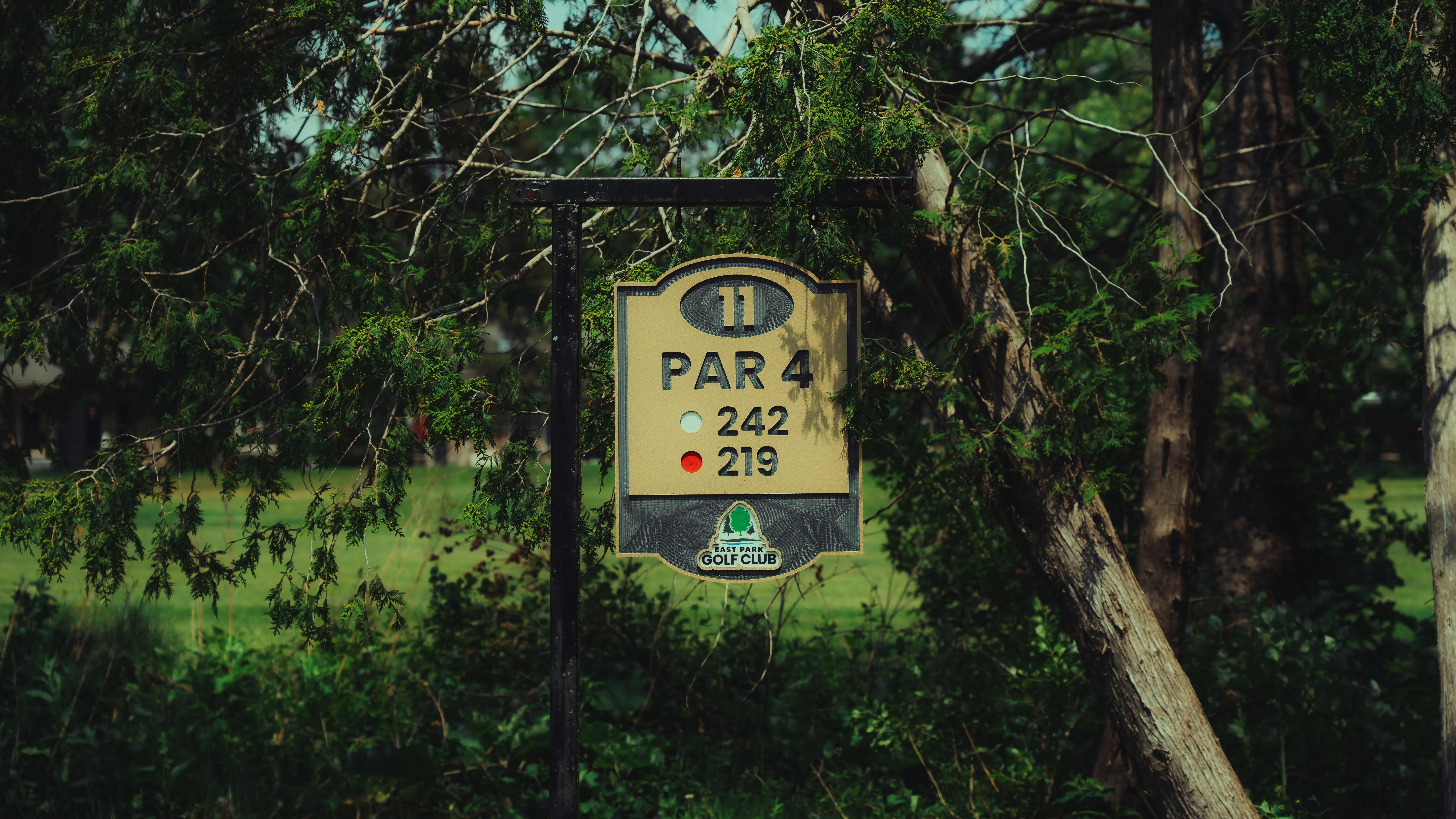 Mountainous terrain at Camp Fortune disc golf
