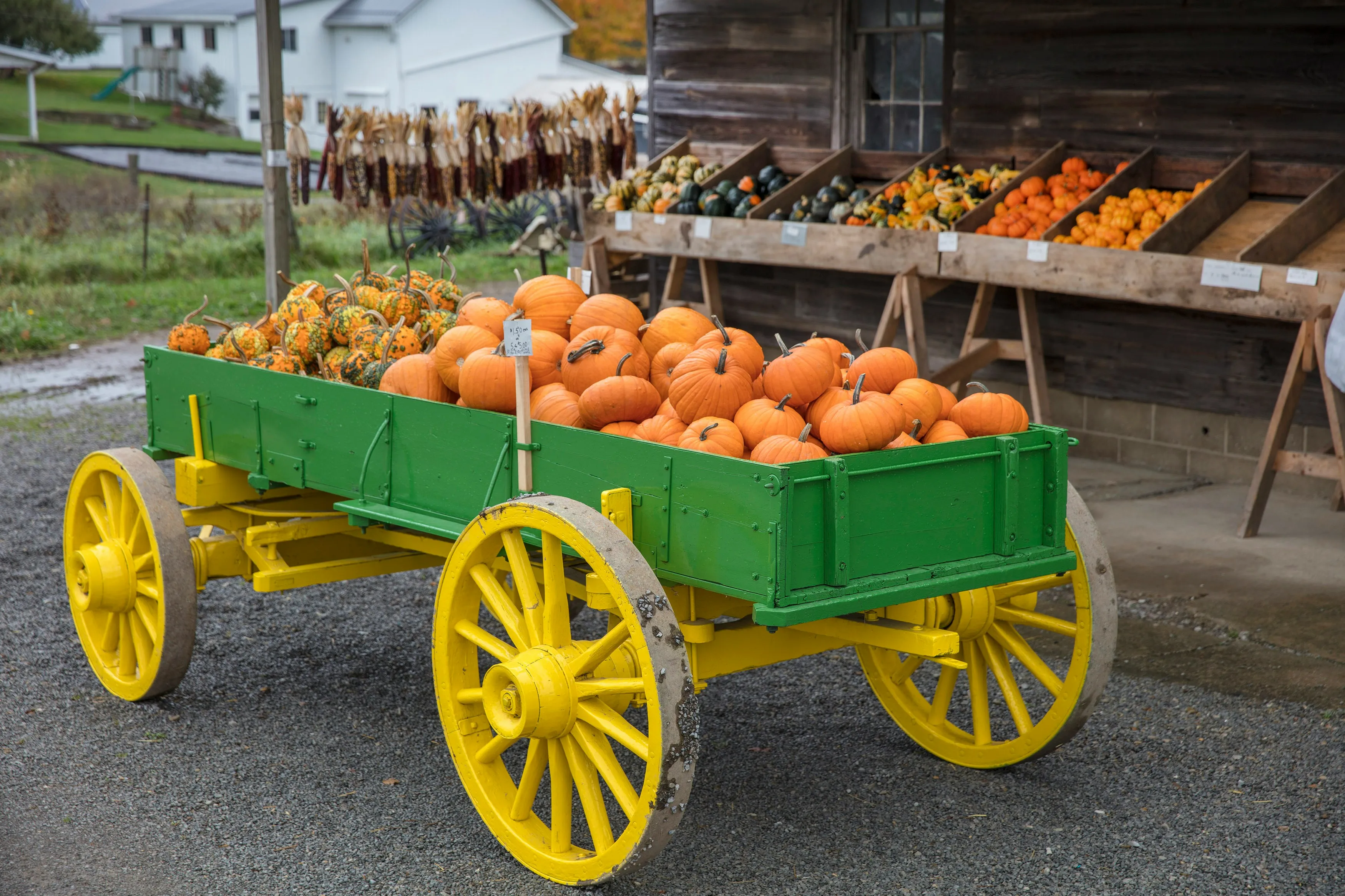 Cannamore Orchard spooky wagon ride