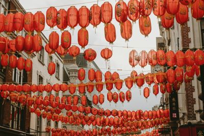 Chinese New Year Ottawa 2025: Celebrations, Events & Where to Celebrate