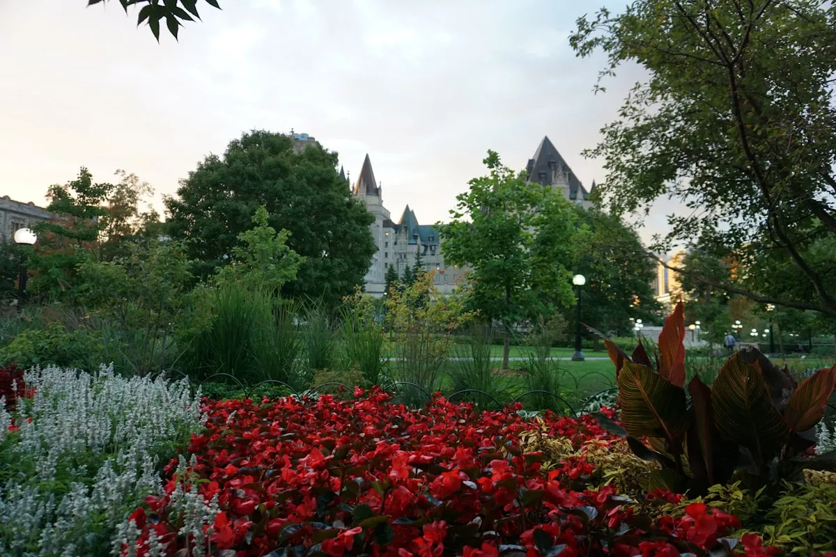 Colourful tulip beds at Commissioners Park along the Rideau River during the Canadian Tulip Festival
