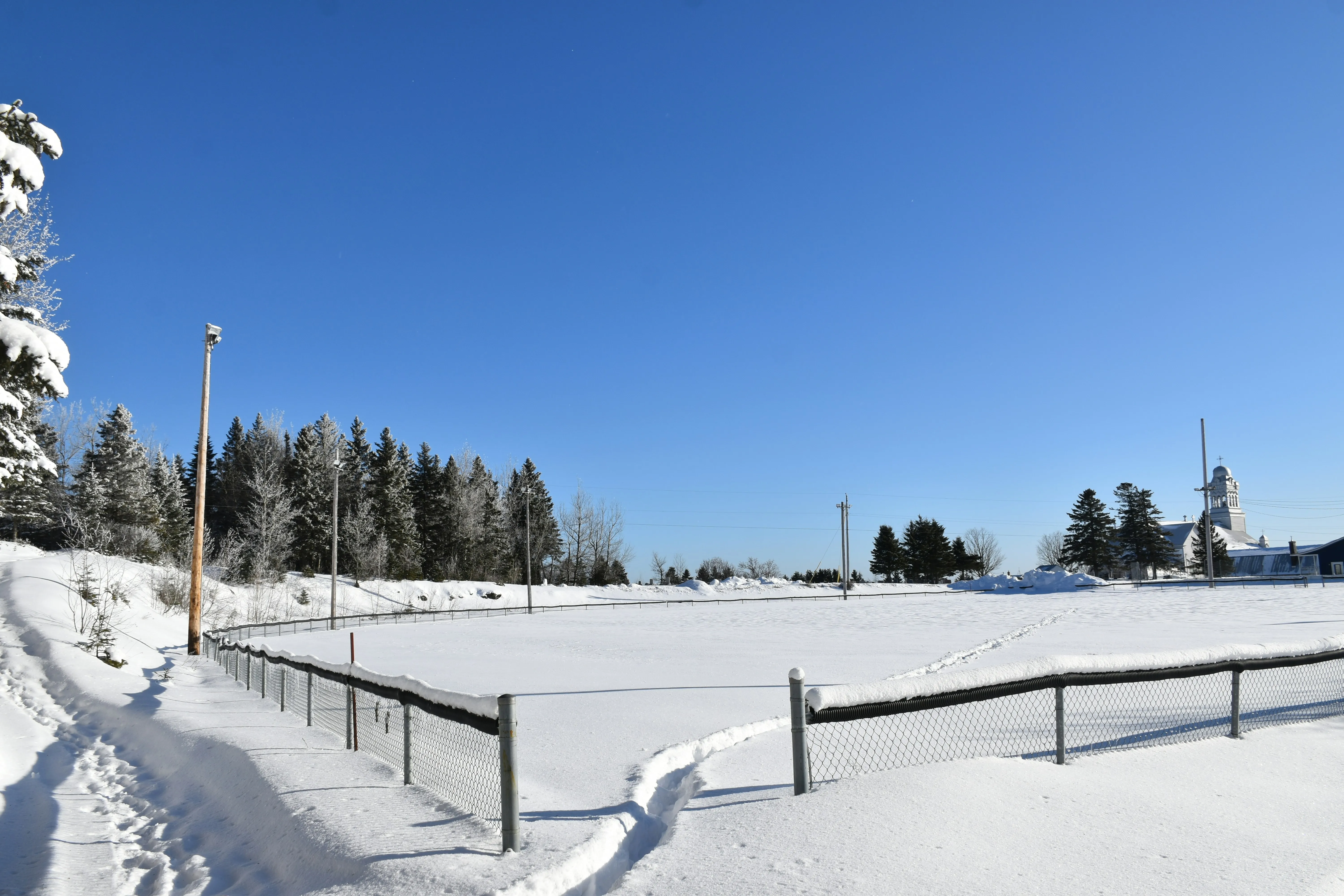 Outdoor skating rink in an Ottawa neighbourhood with snow-draped trees and clear winter sky