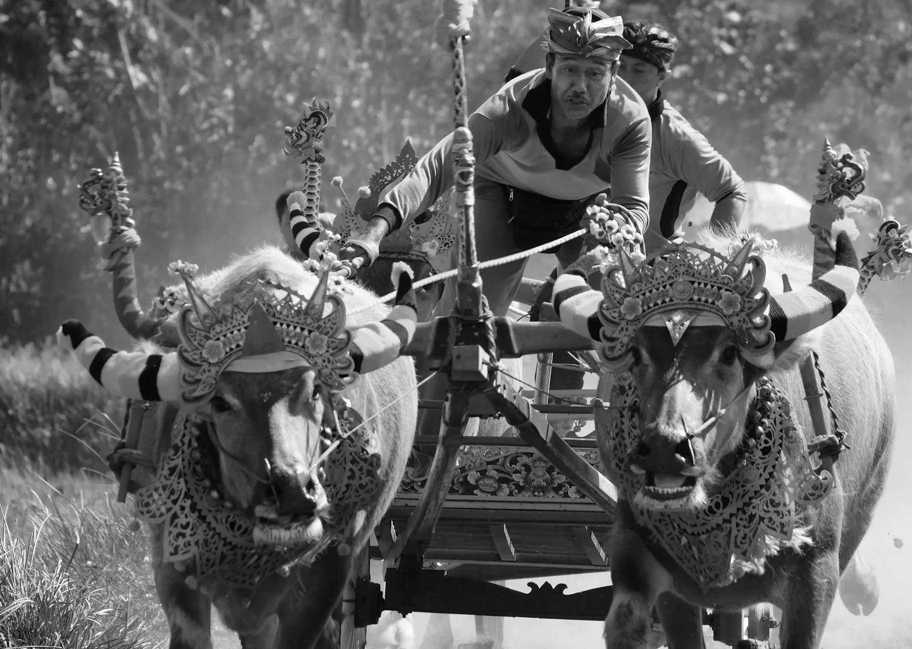 Ottawa Senators hockey game at Canadian Tire Centre