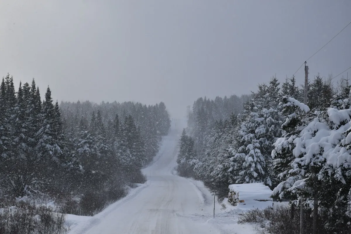 Freezing rain and ice covering Ottawa streets and trees