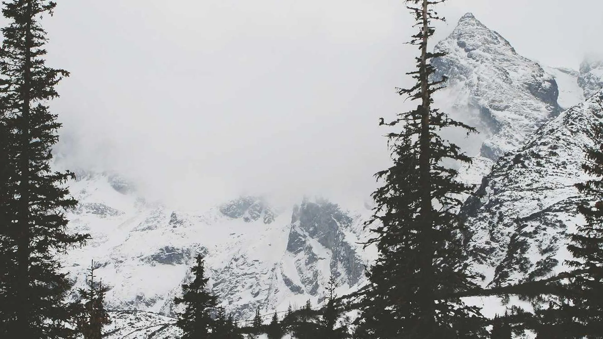 Ottawa Public Library branch