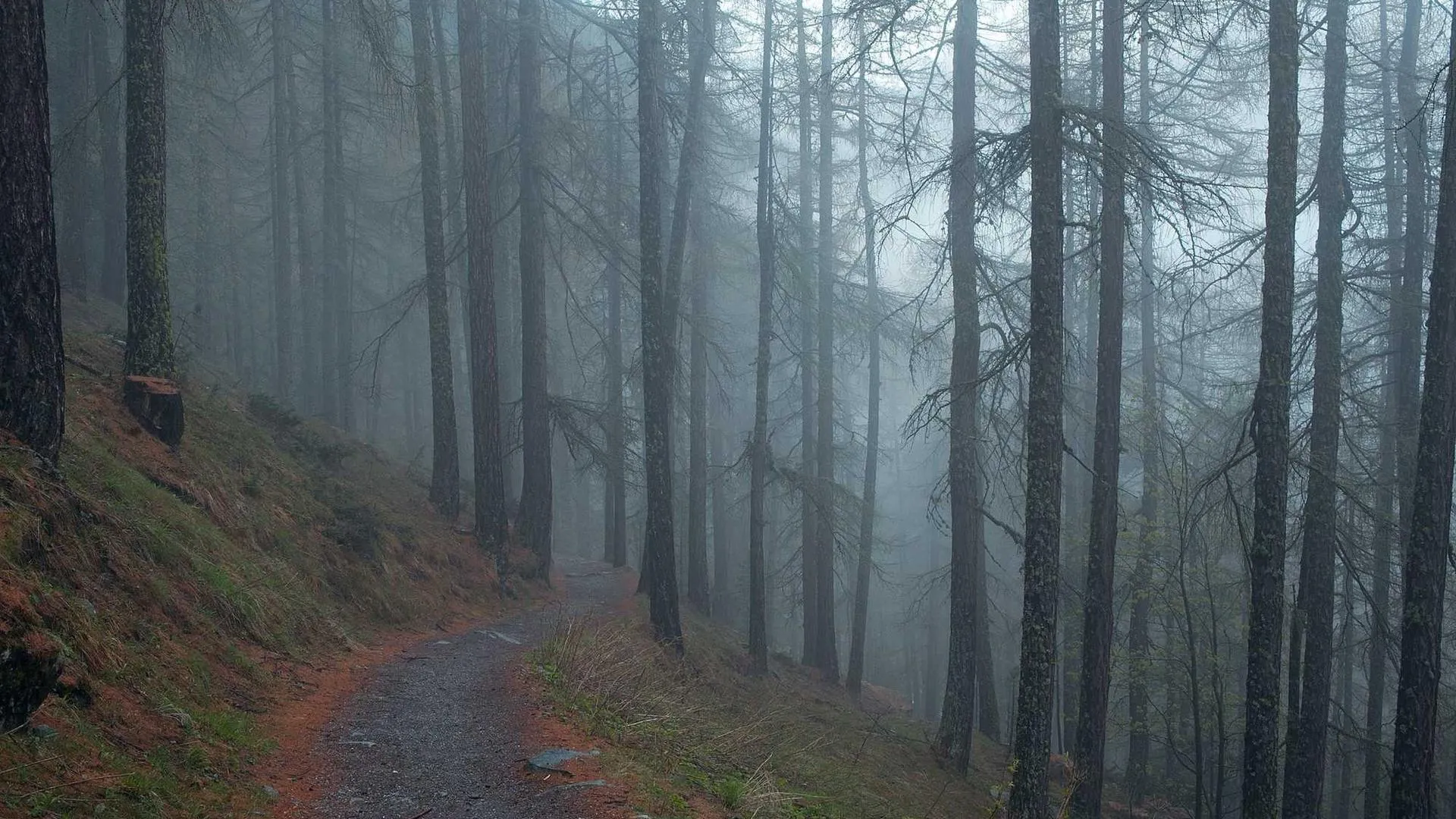 Ottawa hospital emergency room