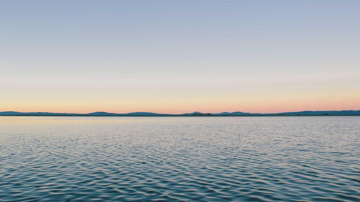 Ottawa Daily News: January 10, 2026 - Immigration Protest Hits Parliament Hill