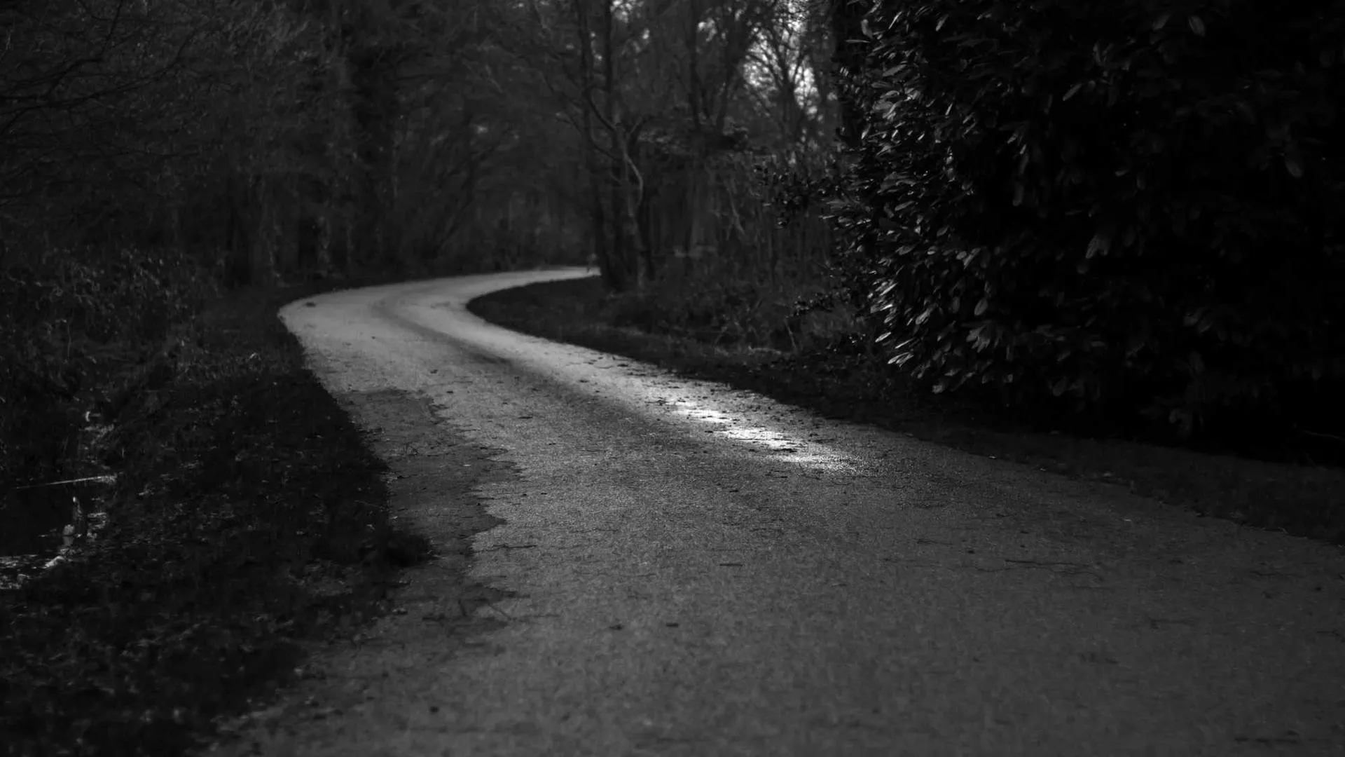 Ottawa winter weather snow