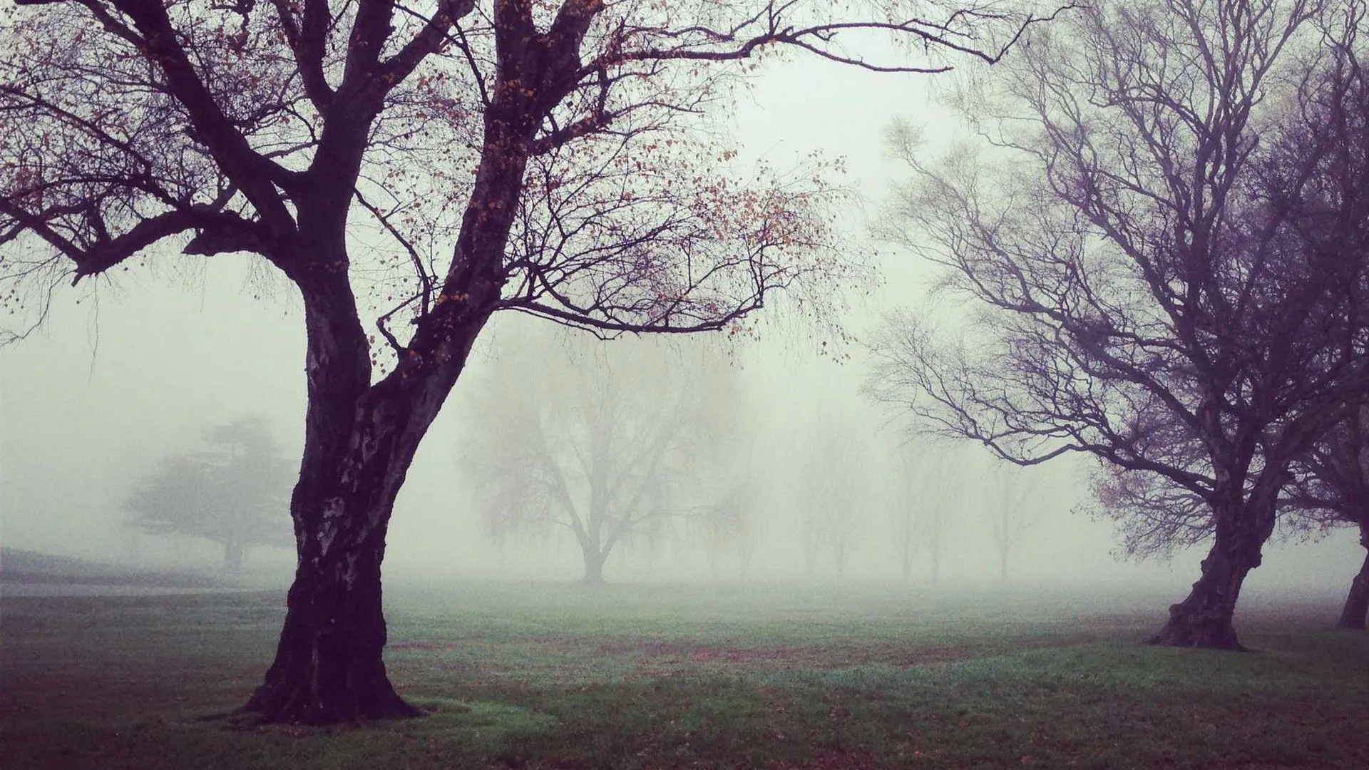 ByWard Market restaurant scene