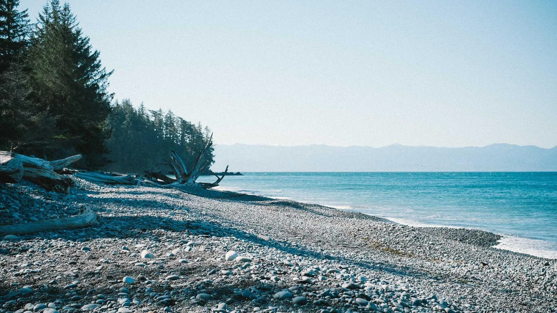 Hospital emergency room