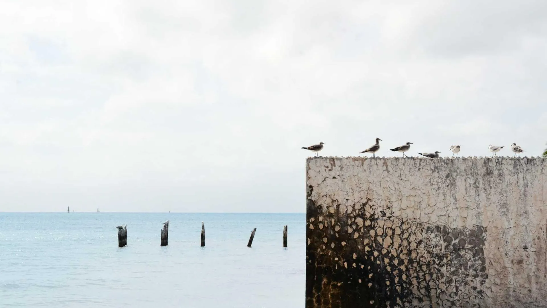 Concert venue stage lights