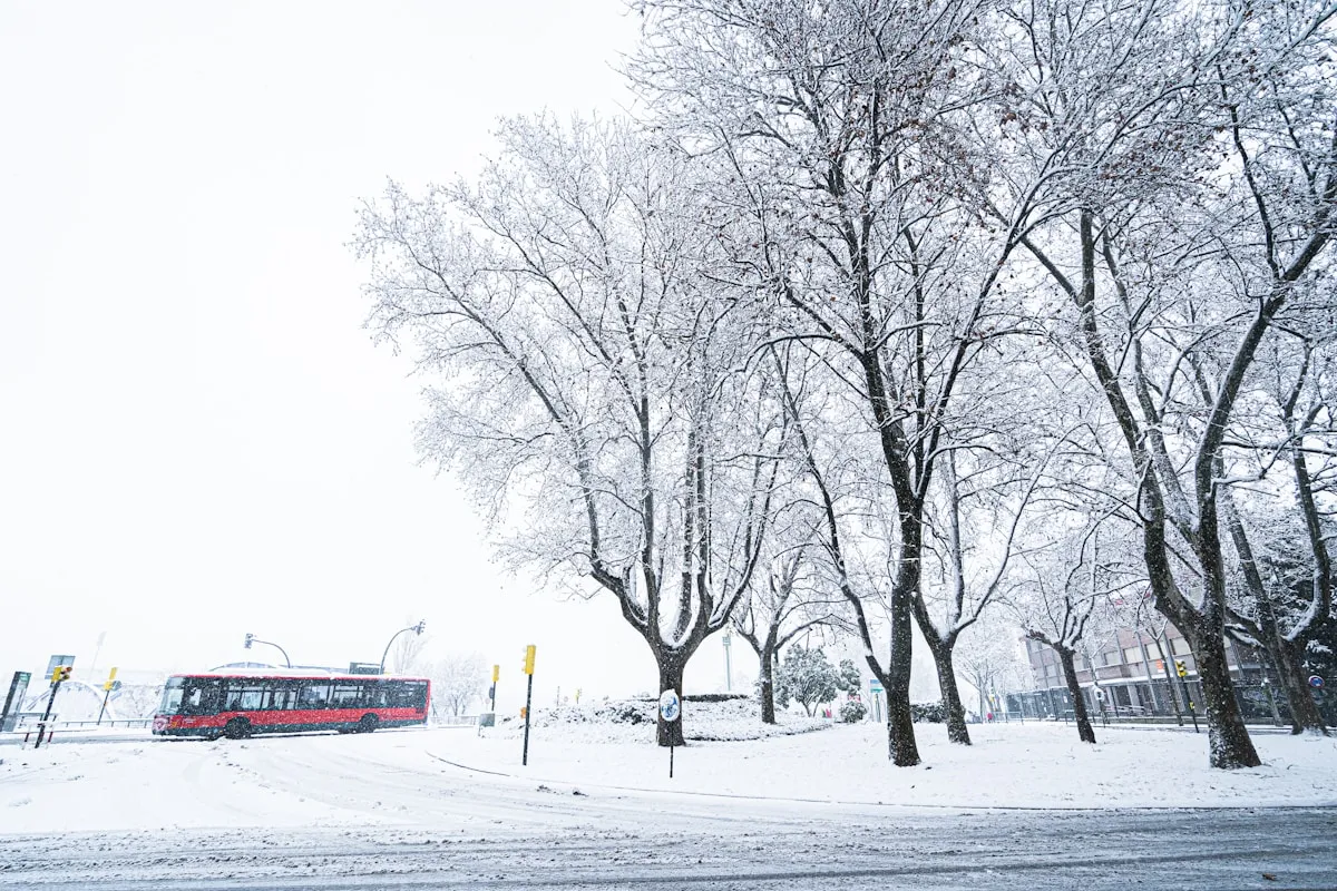 OC Transpo bus in winter conditions