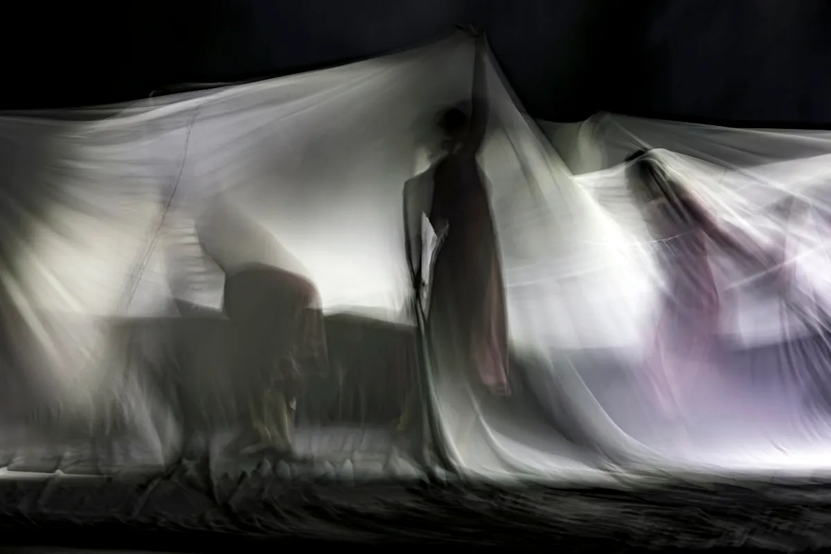 Ottawa theatre shows NAC