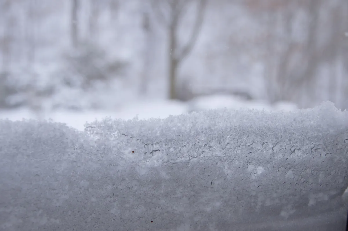 Ottawa winter snow weather