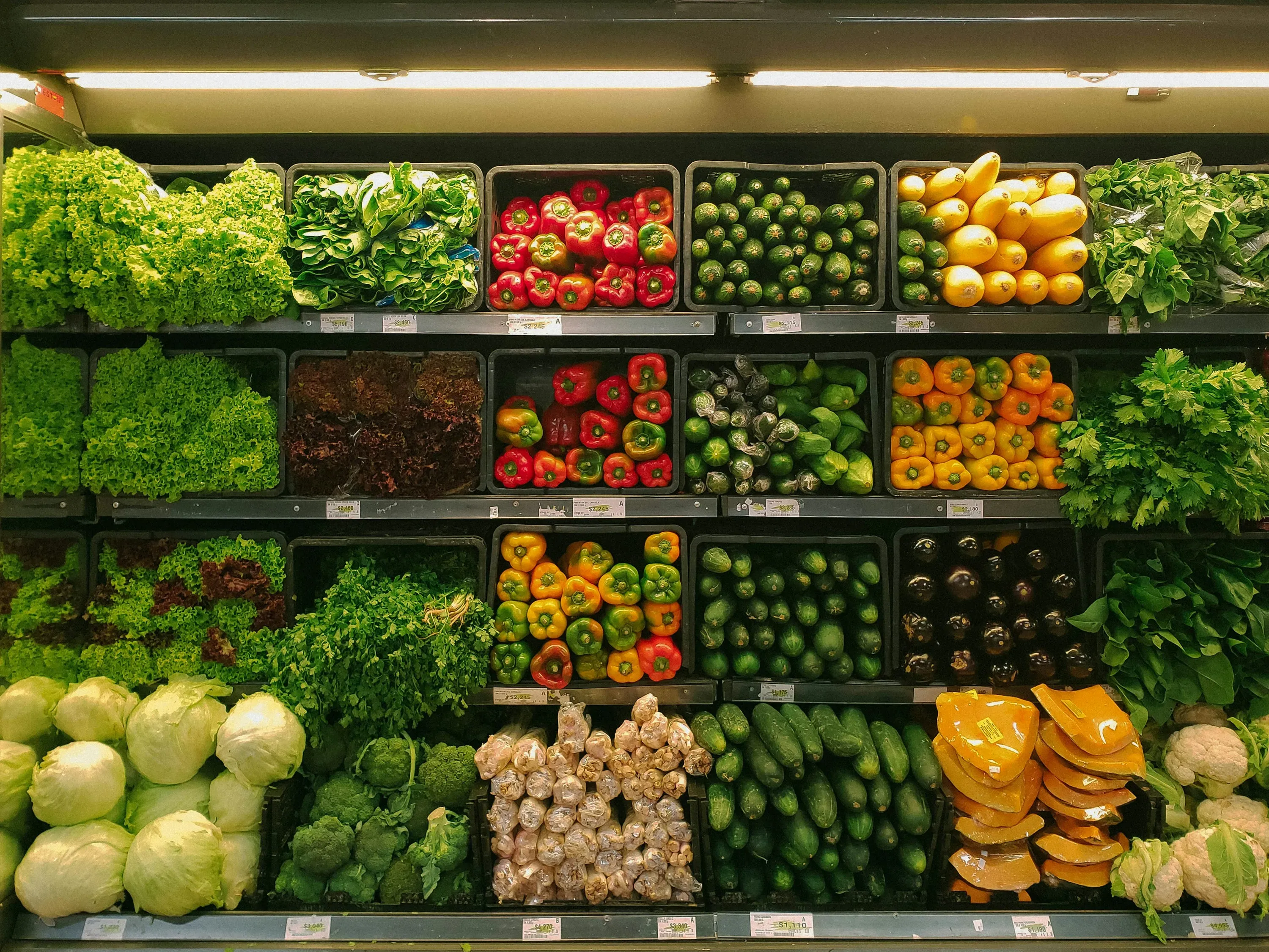 Colorful display of fresh vegetables and fruits at farmers market.