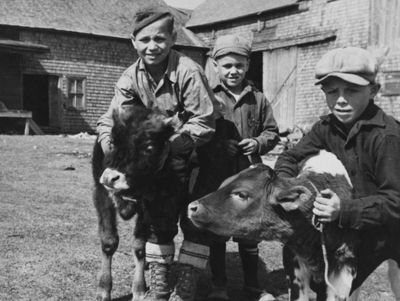 Family Activities Ottawa: The Ultimate Guide to Fun for All Ages