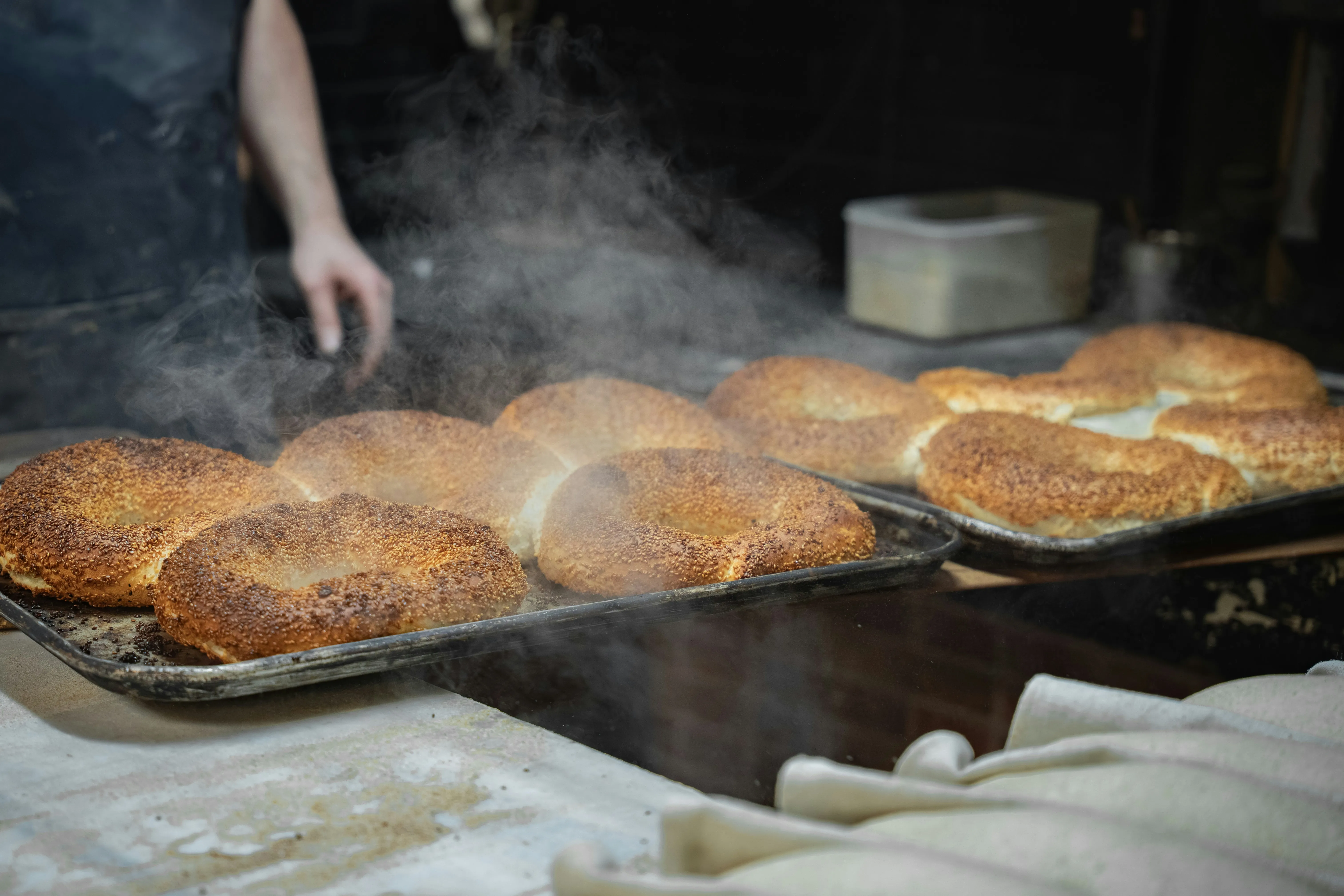Freshly baked bagels steaming on a baking tray at a bakery