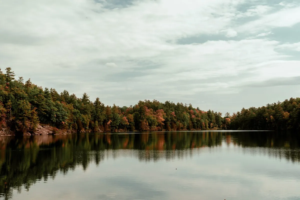 Gatineau Park Champlain Lookout
