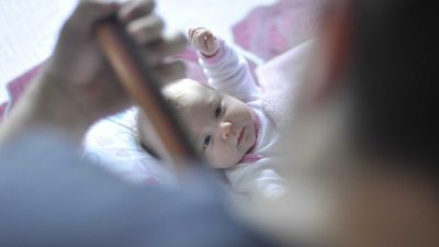 Great Canadian Theatre Company (GCTC) Ottawa: Complete Guide