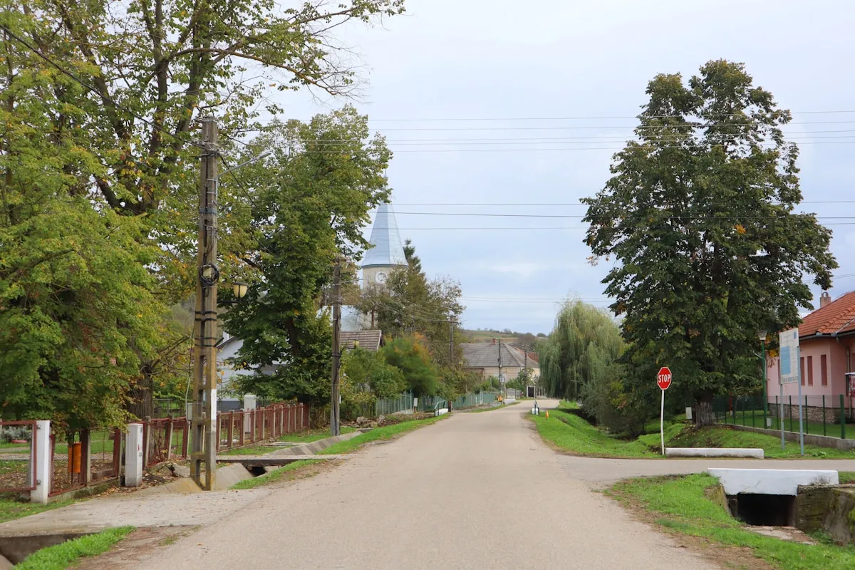 Residential street near Tunney's Pasture Ottawa