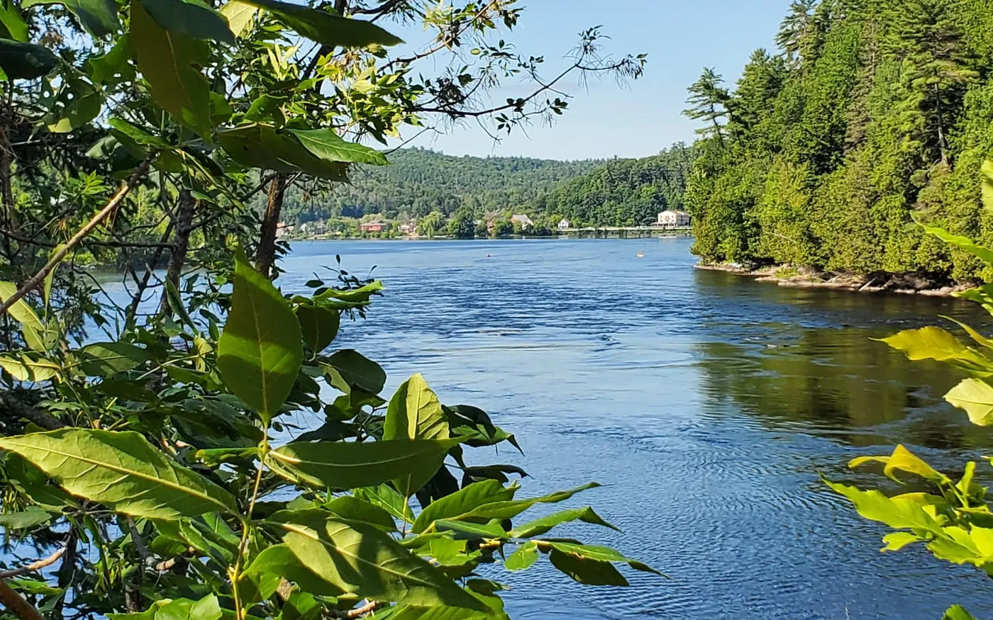 Calm Gatineau River scenery in Wakefield for day trip planning