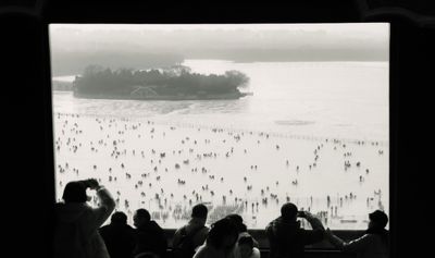 Ice Rinks Ottawa: The Complete Guide to Outdoor Skating