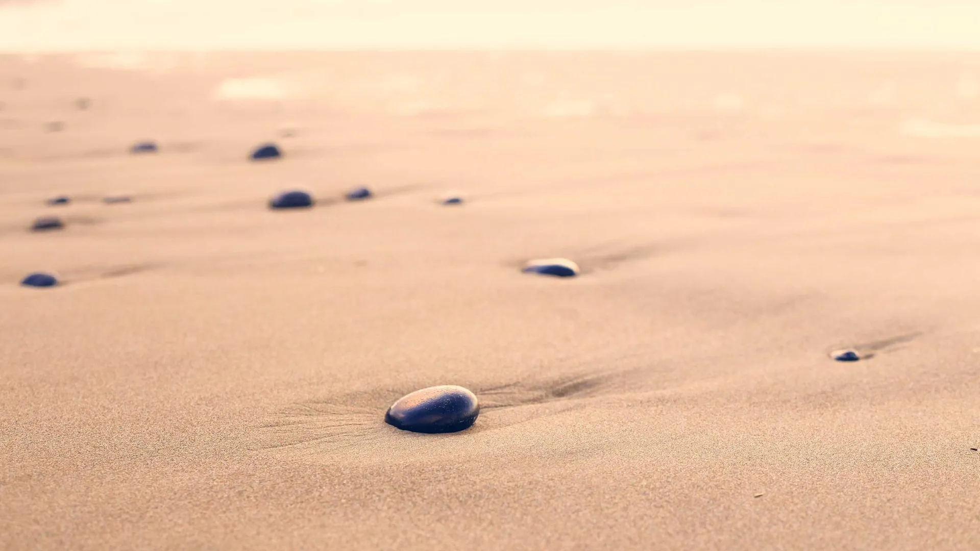 Late-night diner counter and street food mood in Ottawa