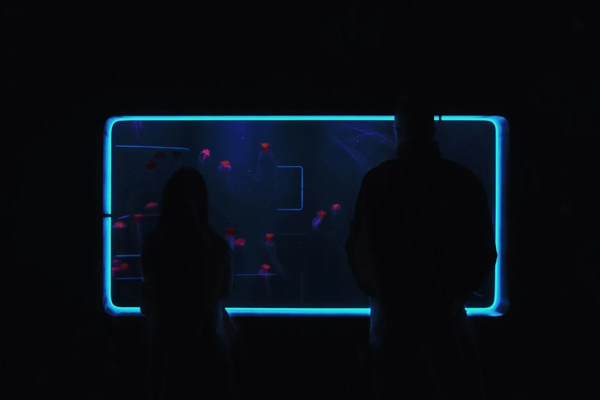 Players in laser tag arena with fog and lights