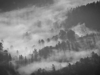 Late Night Food in Ottawa: Where to Eat After 10pm