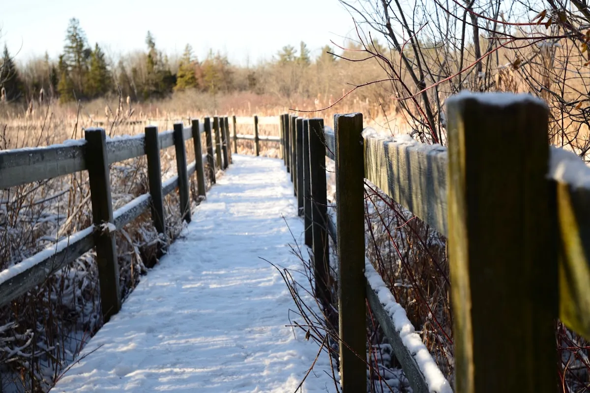 Mer Bleue Bog boardwalk