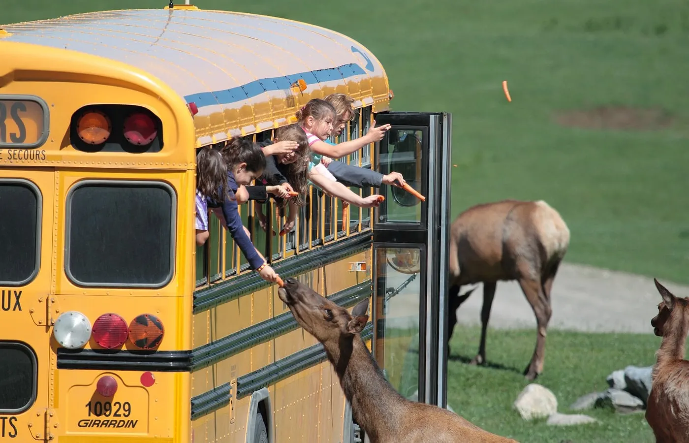 Montebello itinerary options for families, couples, winter, budget, and overnight trips