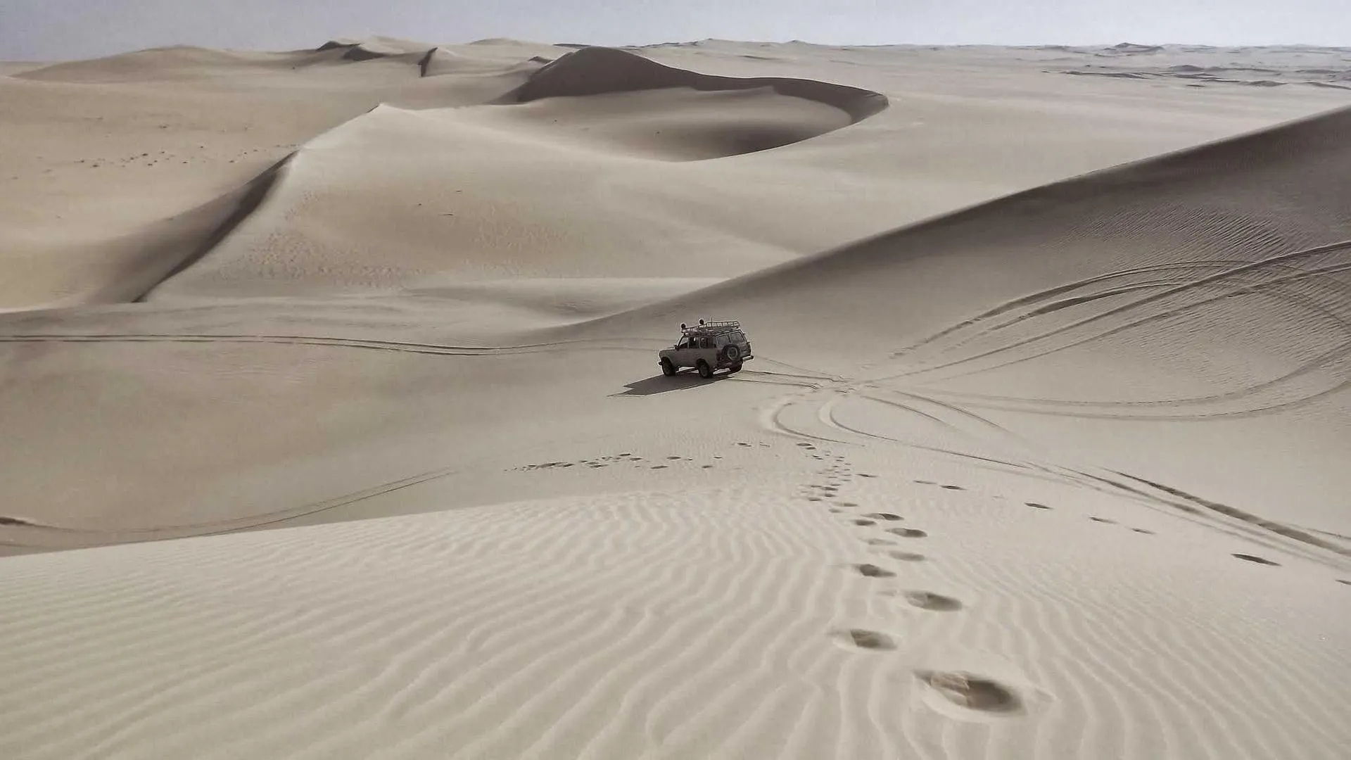 Movati Orleans on Innes Road in the Belcourt retail strip