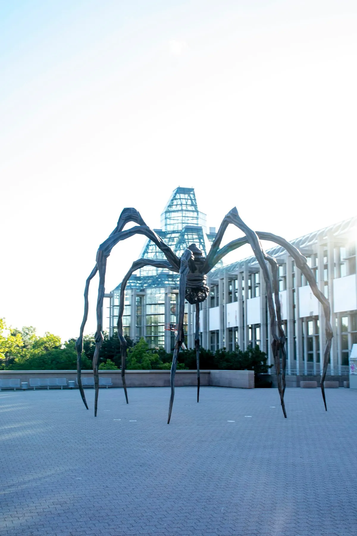 The National Gallery of Canada's modern architecture and public plaza in Ottawa