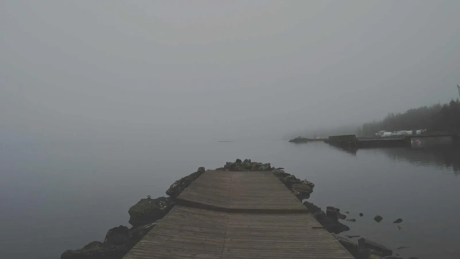Reusable beer cups and eco-friendly festival setup with recycling stations.