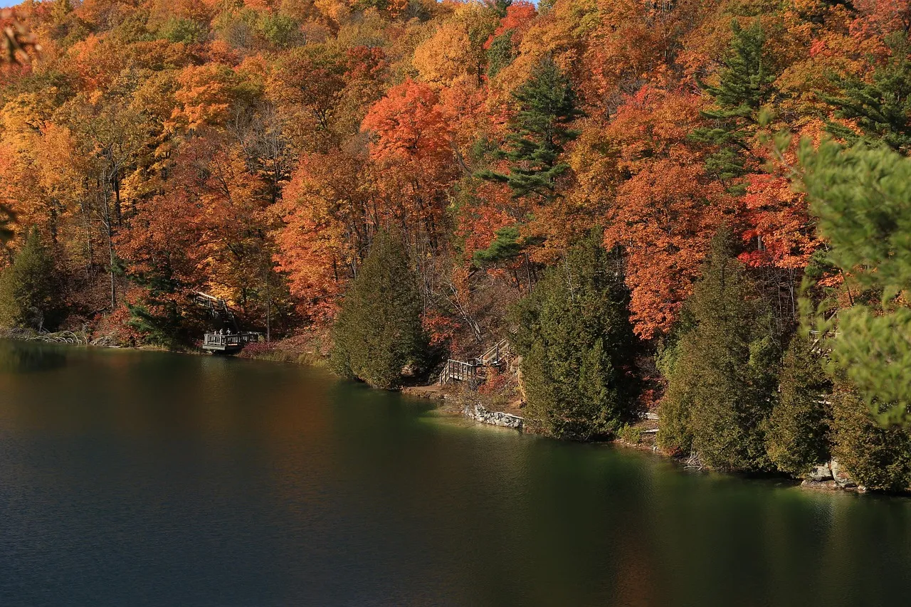 Orleans Ottawa aerial view showing residential neighbourhoods and green spaces