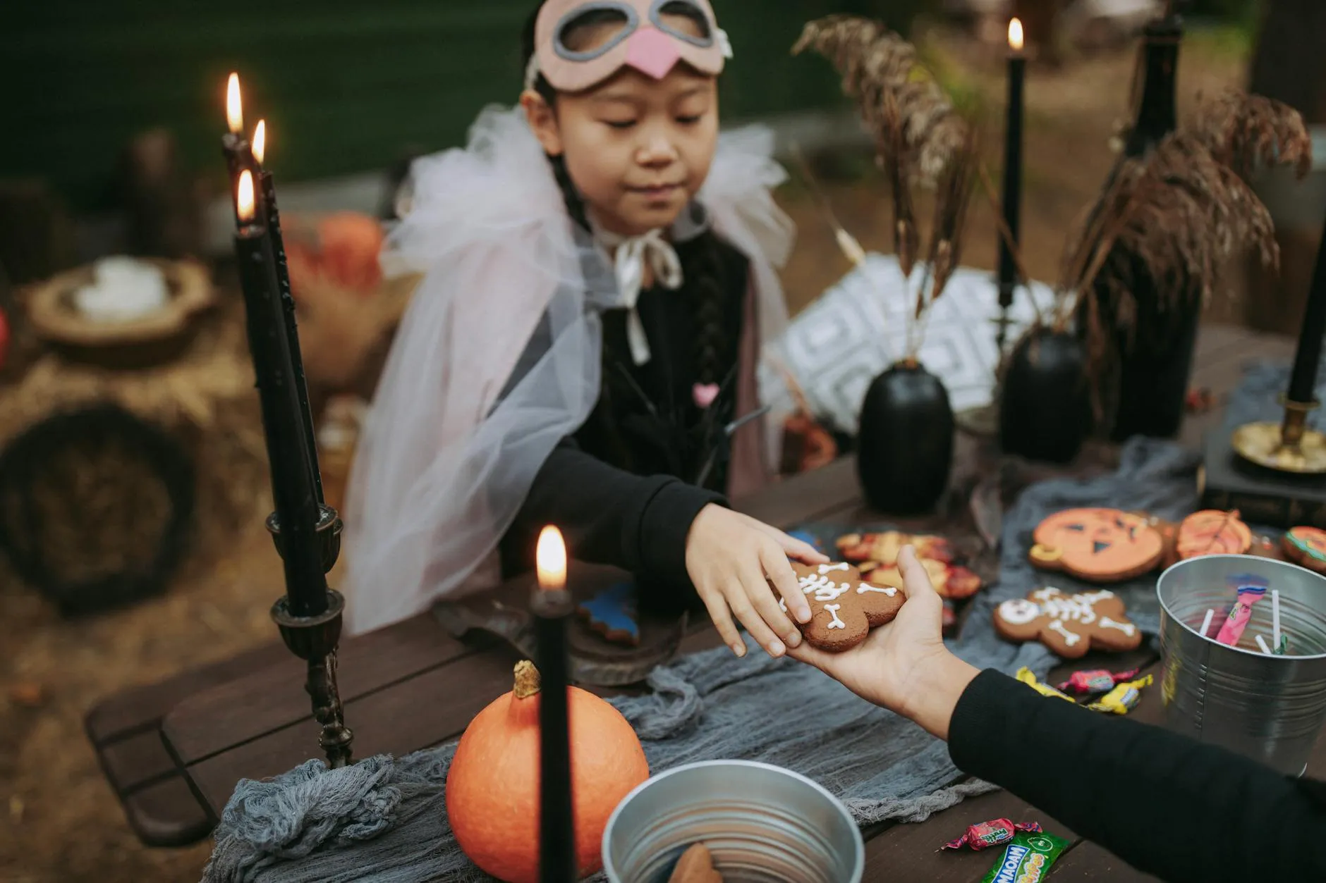 O-Train at Pimisi Station near LeBreton Flats