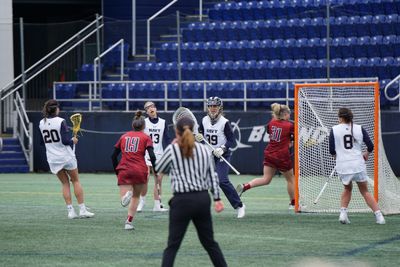 Ottawa Black Bears: Complete Guide to NLL Lacrosse in the Capital