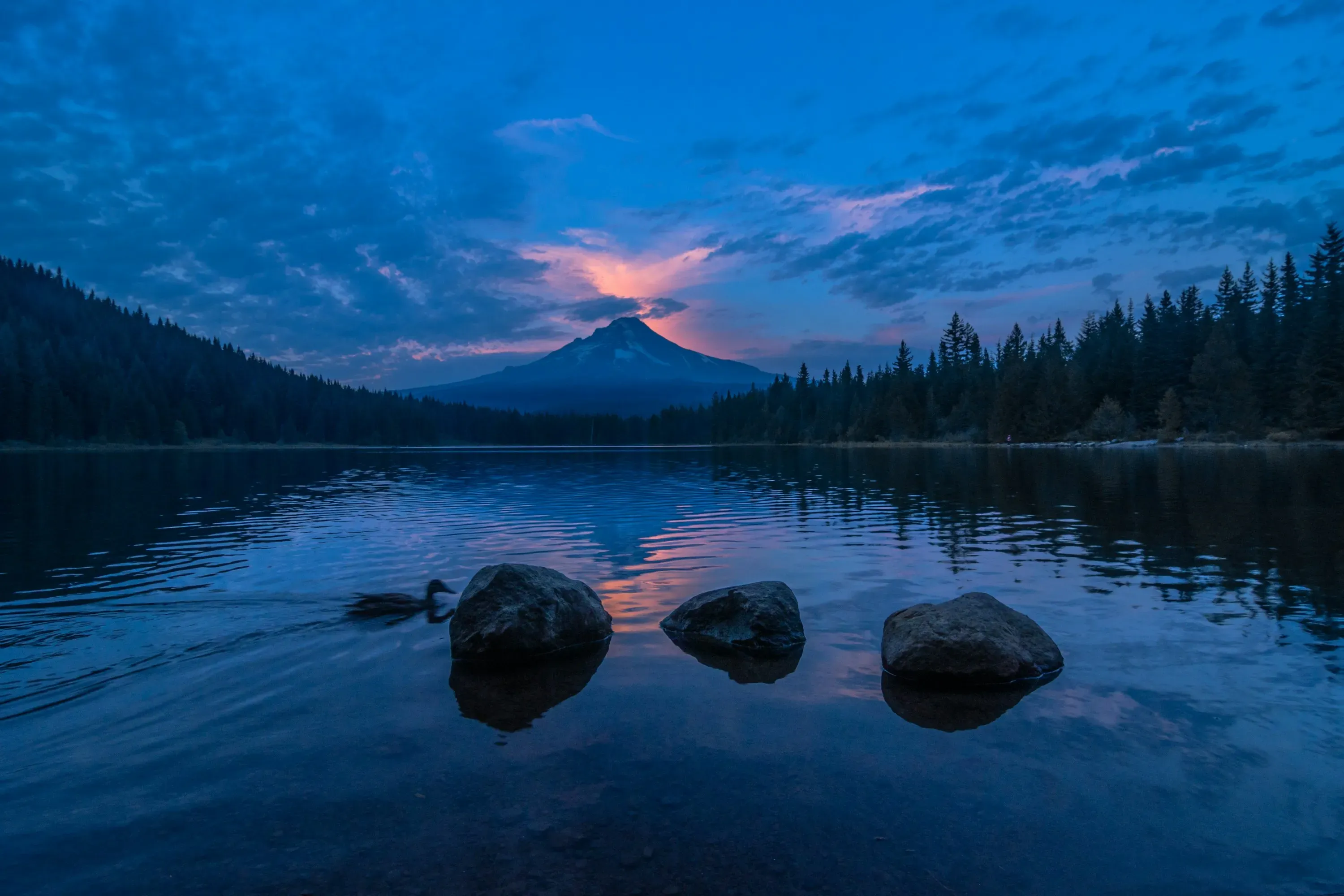 Person drinking water and seeking shade during hot summer weather.