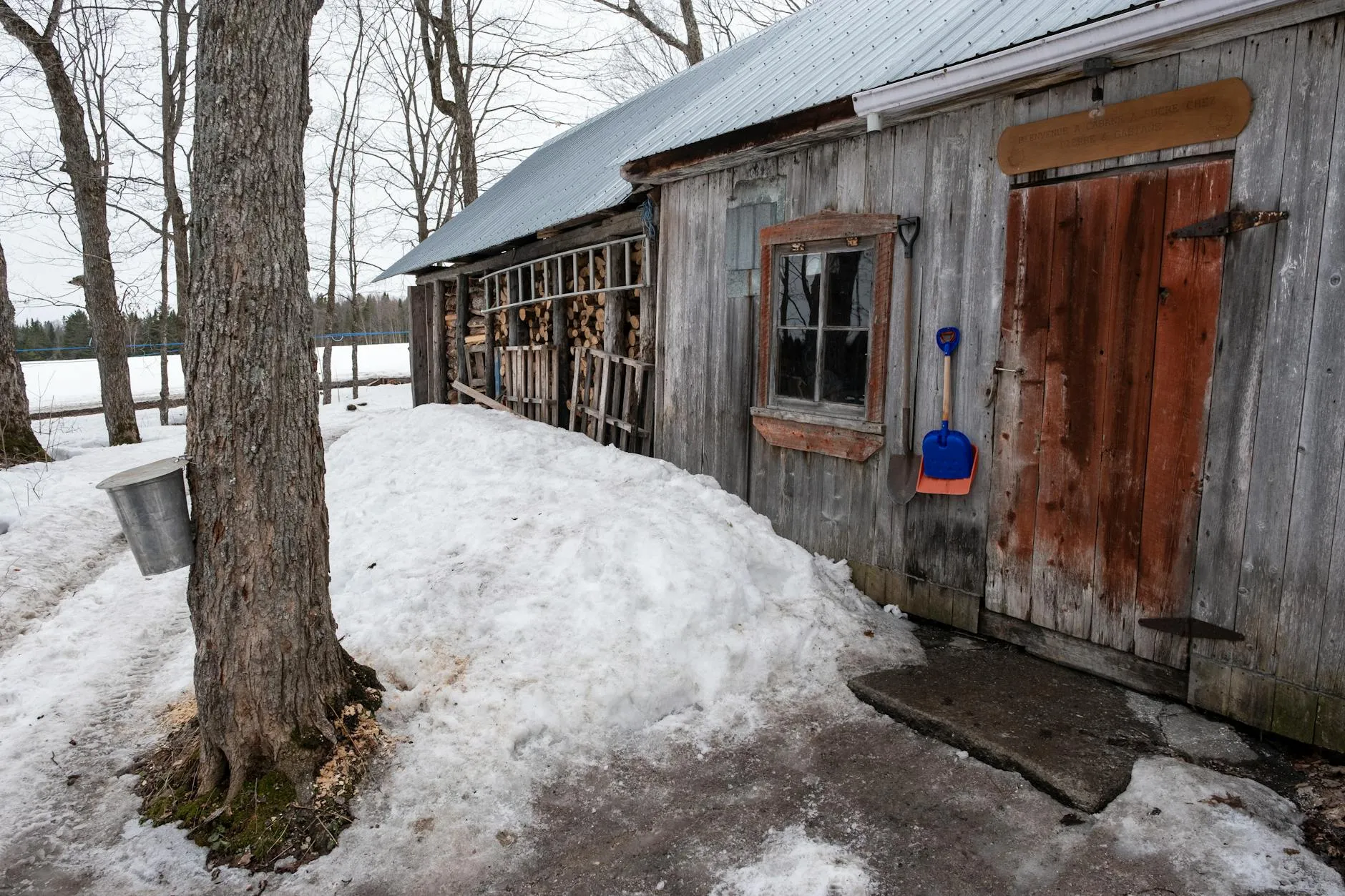 Maple sugar shack table and outdoor sap season scene near Ottawa