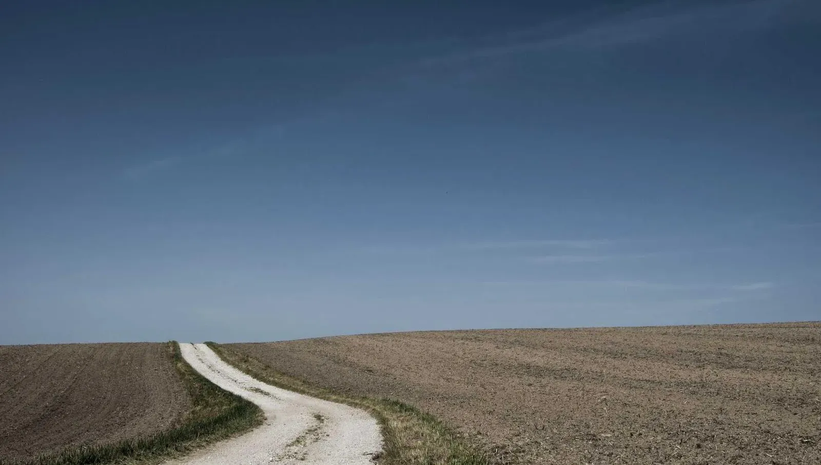 Families exploring pirate-themed activities at Mooney’s Bay.