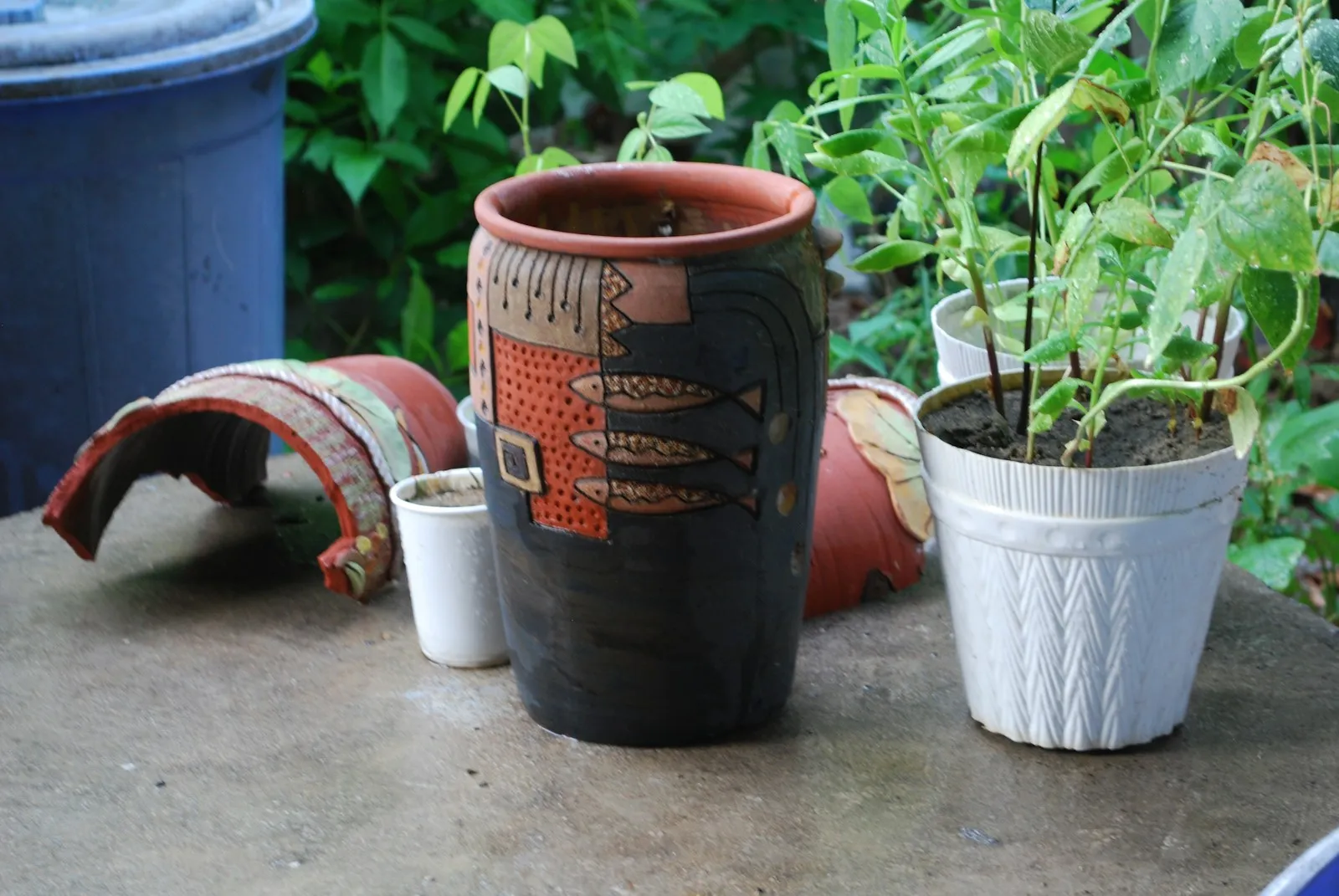 Tabletop with potted plants and gardening tools
