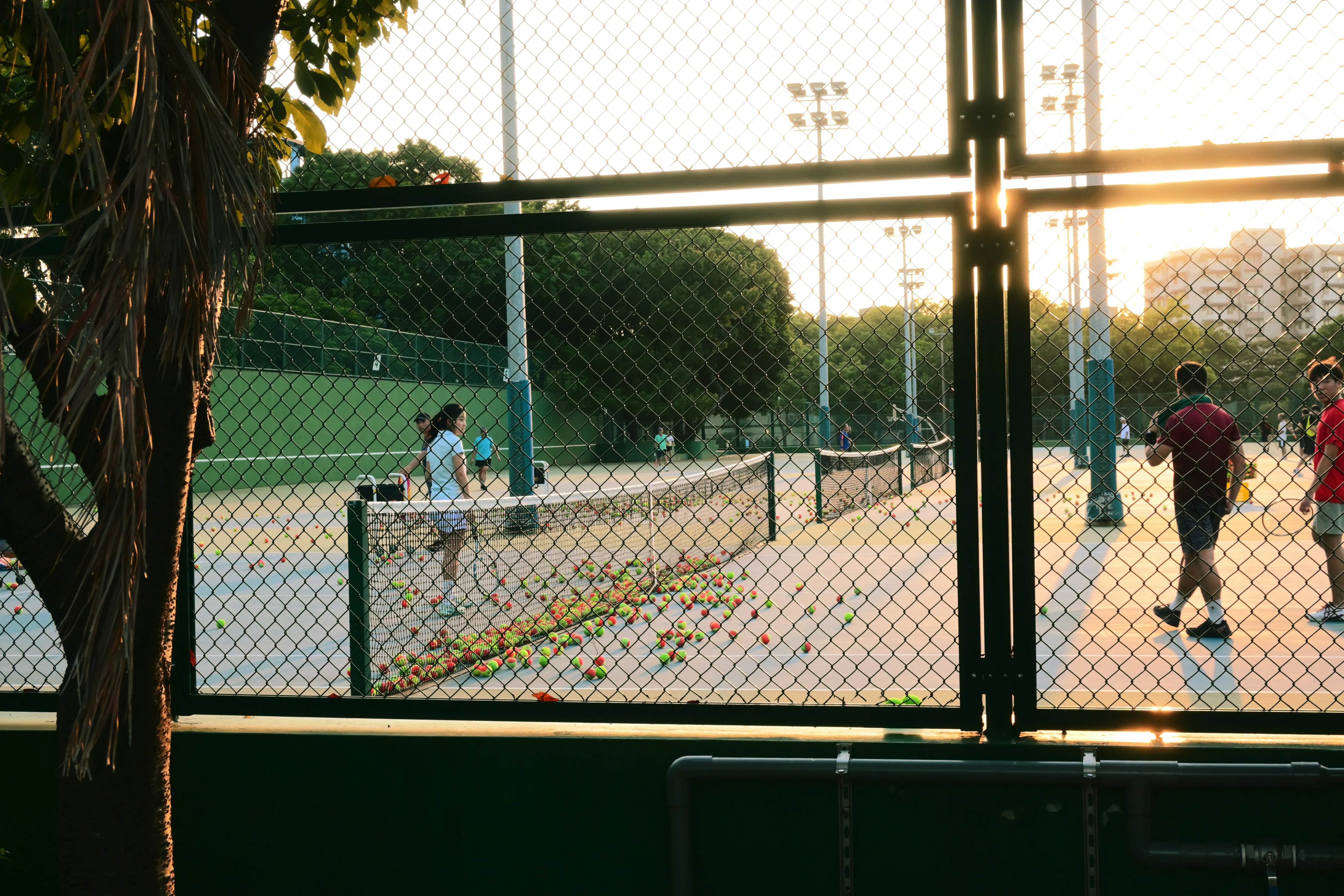Tennis courts in Ottawa in late summer