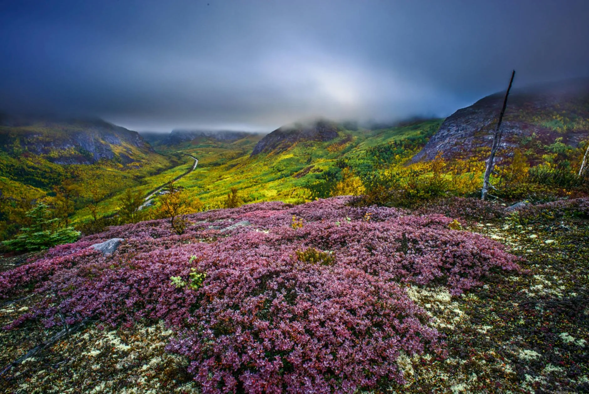 Parc Omega winter wildlife